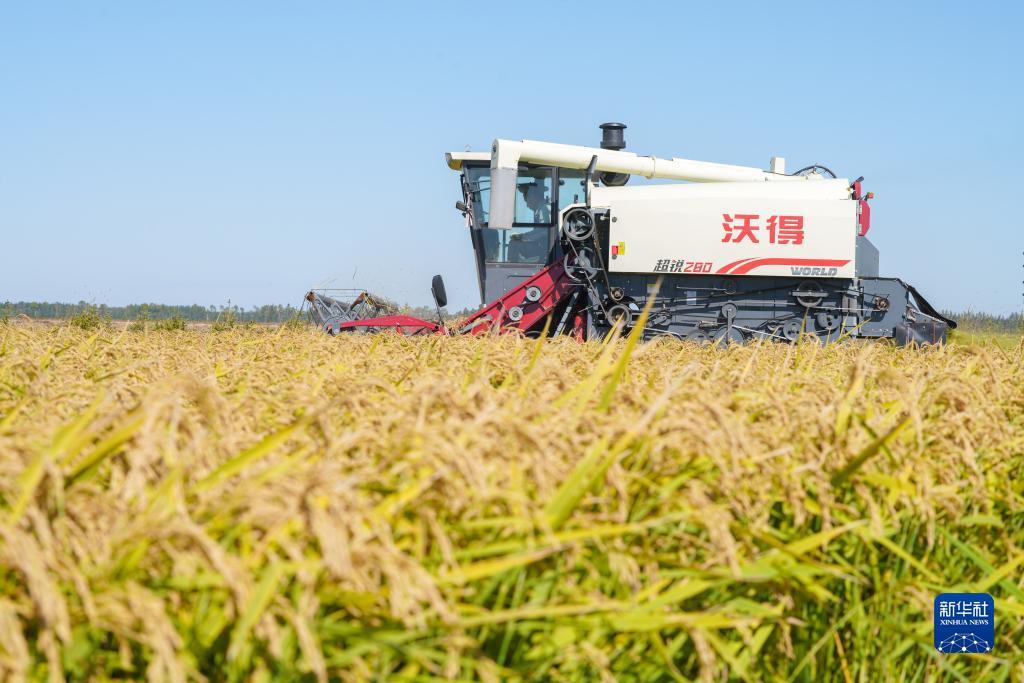 电子娱乐官网平台