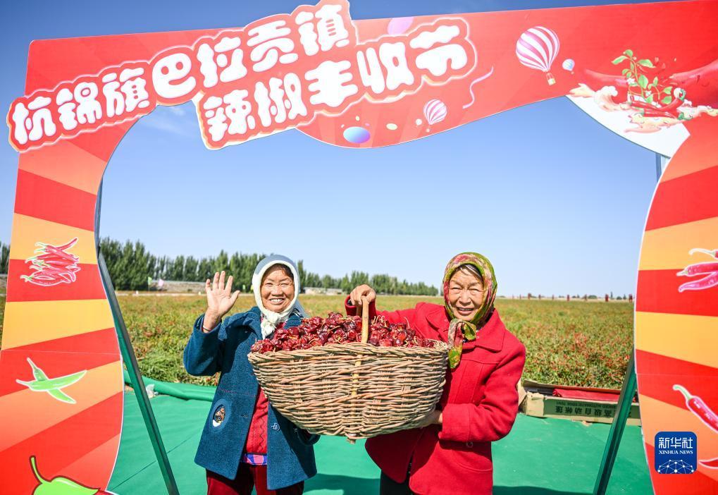 金沙网址